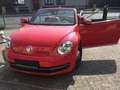 Volkswagen Beetle Cabrio Rosso - thumbnail 1