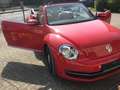 Volkswagen Beetle Cabrio Rot - thumbnail 2