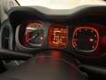 Fiat Panda 1.0 FireFly S&S Hybrid Pandina Cross IVA ESPOSTA Noir - thumbnail 6