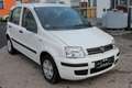Fiat Panda 1,2 gepflegt 2. Hand Weiß - thumbnail 4