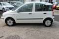 Fiat Panda 1,2 gepflegt 2. Hand Weiß - thumbnail 6