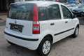 Fiat Panda 1,2 gepflegt 2. Hand Weiß - thumbnail 5