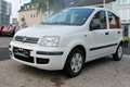 Fiat Panda 1,2 gepflegt 2. Hand Weiß - thumbnail 1