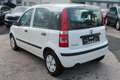 Fiat Panda 1,2 gepflegt 2. Hand Weiß - thumbnail 3