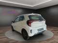 Kia Picanto Vision MT "Aktion sofort verfügbar" Weiß - thumbnail 5