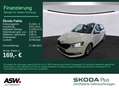 Skoda Fabia Clever 1.0 TSI Pano Navi Klima PDC LED SHZ Wit - thumbnail 1
