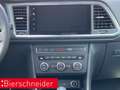 SEAT Ateca 1.5 TSI DSG Style Edition ab 239,-EUR mtl. BEATS A Grau - thumbnail 20