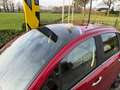 Citroen C3 1.2 PureTech Exclusive Pano / ECC / Cruise Rood - thumbnail 6