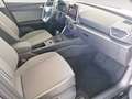 SEAT Leon Style Edition 1.5 TSI 115 PS Schwarz - thumbnail 15