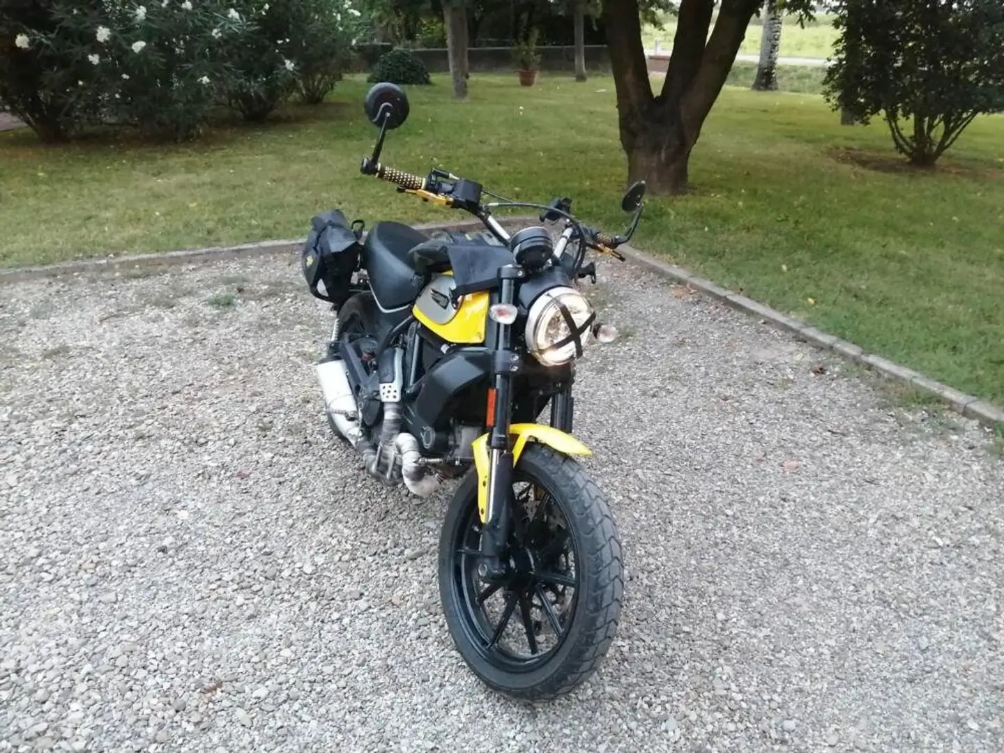 Ducati Scrambler žuta - 1