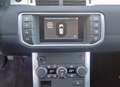 Land Rover Range Rover Evoque 5p 2.0 td4 SE 150cv Cambio Manuale Bianco - thumbnail 8