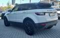 Land Rover Range Rover Evoque 5p 2.0 td4 SE 150cv Cambio Manuale Bianco - thumbnail 3