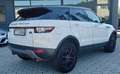 Land Rover Range Rover Evoque 5p 2.0 td4 SE 150cv Cambio Manuale Bianco - thumbnail 4
