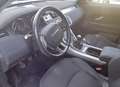 Land Rover Range Rover Evoque 5p 2.0 td4 SE 150cv Cambio Manuale Bianco - thumbnail 6