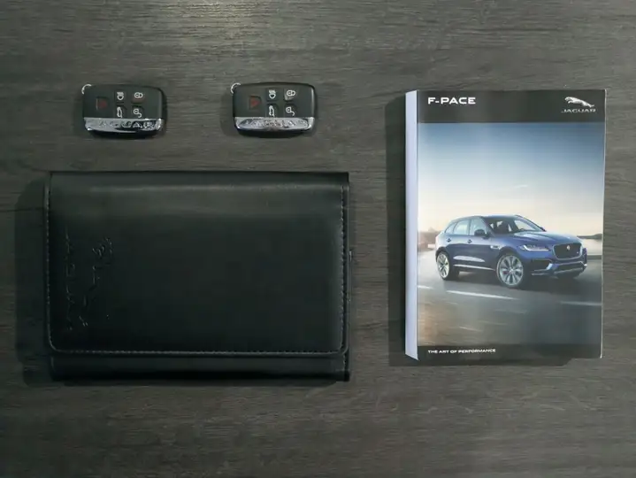 Jaguar F-Pace 2020, foto 35
