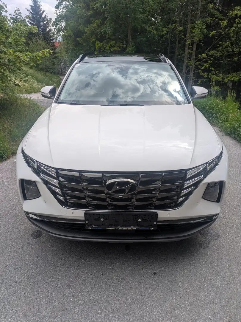 Hyundai TUCSON 1,6 T-GDI Plug-In Hybrid 4WD Prestige Line Aut. - 2