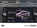 Volkswagen Tiguan Highline 2.0 TSI DSG 4M LED+PANO+SHZ+PDC Gris - thumbnail 11
