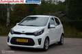 Kia Picanto 1.0i ComfortLine 5p Cruisecontr. 2020 Blanc - thumbnail 15