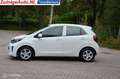 Kia Picanto 1.0i ComfortLine 5p Cruisecontr. 2020 Blanc - thumbnail 5