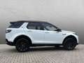 Land Rover Discovery Sport D200 Dynamic SE Biały - thumbnail 6