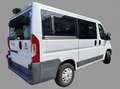 Fiat Ducato 9 Posti panorama Bianco - thumbnail 4