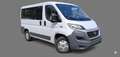 Fiat Ducato 9 Posti panorama Bianco - thumbnail 3