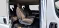 Fiat Ducato 9 Posti panorama Bianco - thumbnail 8