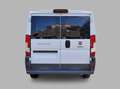 Fiat Ducato 9 Posti panorama Bianco - thumbnail 6