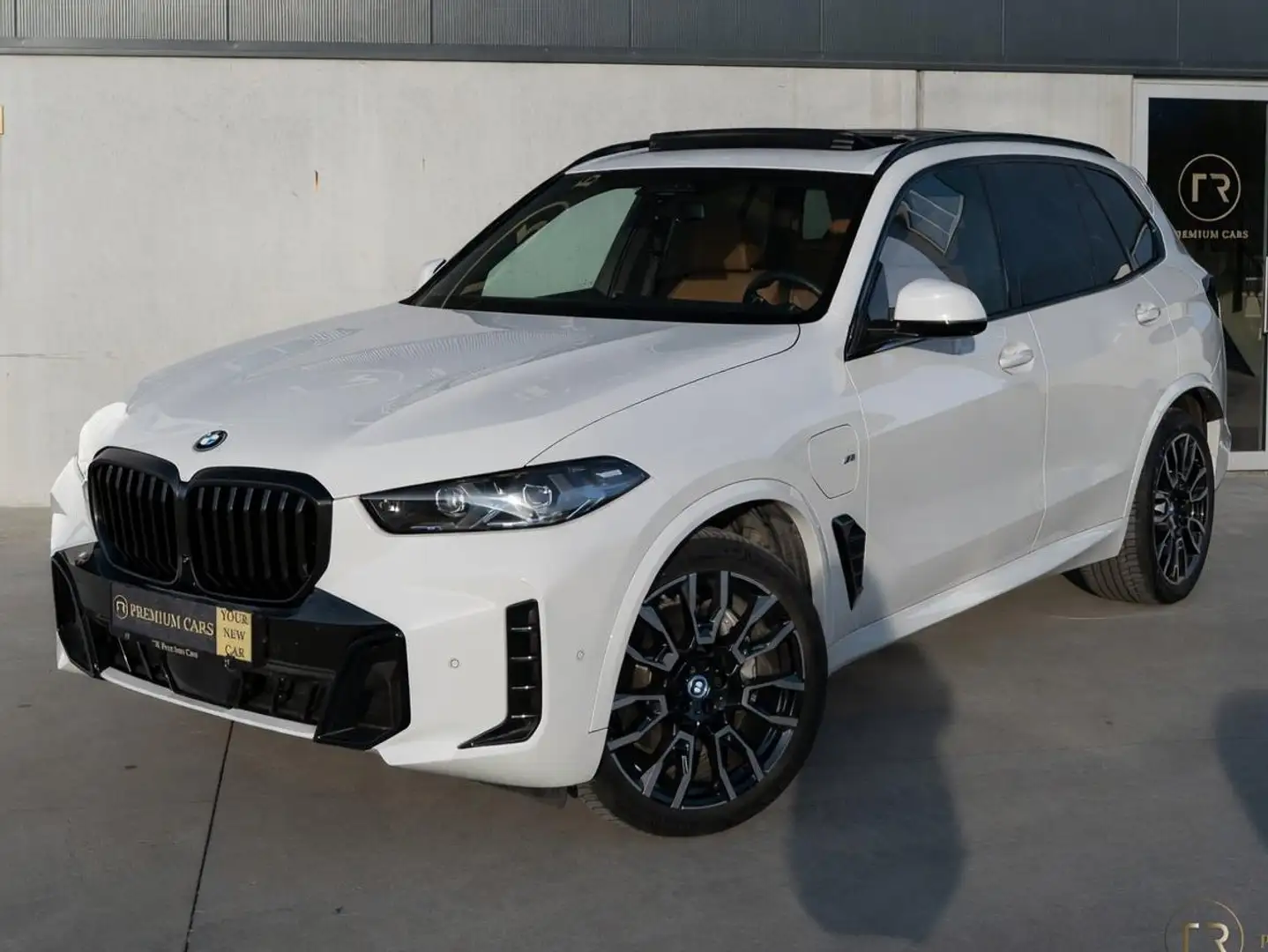 BMW X5 xDrive50e l Pano l Towhook l Ventilate l HUD l H/K Weiß - 1