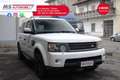 Land Rover Range Rover Sport Range Rover Sport 3.0 SDV6 HSE Tetto Unicoproprie Білий - thumbnail 1
