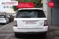 Land Rover Range Rover Sport Range Rover Sport 3.0 SDV6 HSE Tetto Unicoproprie Білий - thumbnail 7
