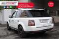 Land Rover Range Rover Sport Range Rover Sport 3.0 SDV6 HSE Tetto Unicoproprie Білий - thumbnail 15