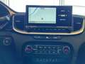 Kia Ceed SW / cee'd SW 1.5T 48V DCT 140 PS ULTIMATE STYLE Navi Soundsyste Grau - thumbnail 11