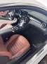 Mercedes-Benz 220 *C43-Look* *Sitzlüftung* *TÜV-01-2027* Weiß - thumbnail 16