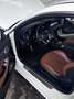 Mercedes-Benz 220 *C43-Look* *Sitzlüftung* *TÜV-01-2027* Alb - thumbnail 15