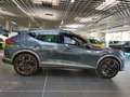 CUPRA Formentor VZ 4Drive 2.0 TSI Klima Navi Rückfahrkamera Grau - thumbnail 5