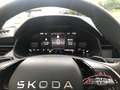 Skoda Kamiq Selection 1.0 TSI DSG ACC AHK-el. klappb. Digi Coc Gris - thumbnail 12