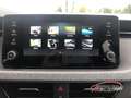 Skoda Kamiq Selection 1.0 TSI DSG ACC AHK-el. klappb. Digi Coc Gris - thumbnail 14