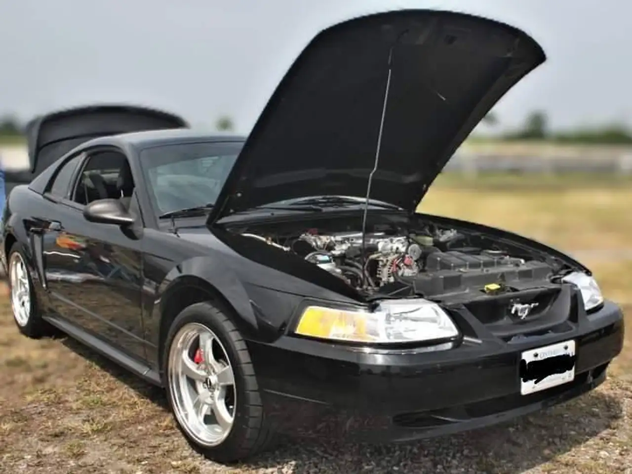 Ford Mustang снимка Ford Mustang