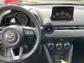 Mazda CX-3 CX-3 1.5d Evolve 2wd 105cv my17 Grigio - thumbnail 12