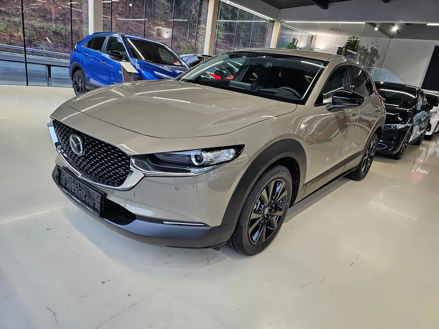 Mazda CX-30 CX-30 e-Skyactive G140 Homura - 1