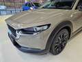 Mazda CX-30 CX-30 e-Skyactive G140 Homura - thumbnail 14