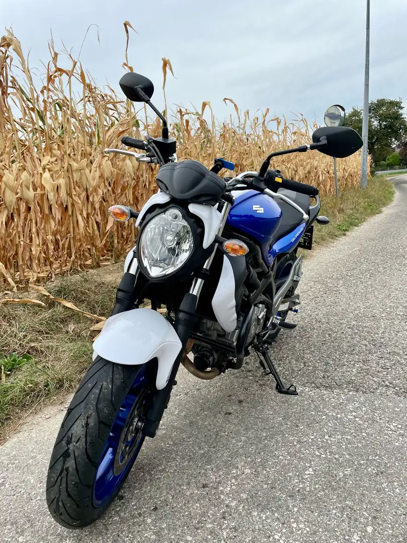 Suzuki Gladius 650 Blau Weiß Bleu - 1
