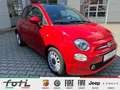 Fiat 500 Lounge 1.0 70PS PDC Car Play Glasdach LM Rosso - thumbnail 1