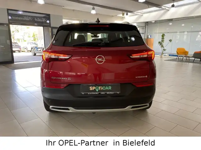 Opel Grandland X view 5