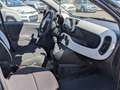 Fiat Panda Pandina III 2024 Pandina 1.0 firefly hybrid CROSS Verde - thumbnail 8