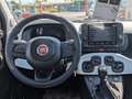 Fiat Panda Pandina III 2024 Pandina 1.0 firefly hybrid CROSS Verde - thumbnail 12