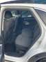 Audi Q3 S LINE CON TETTO APRBILE Bianco - thumbnail 14