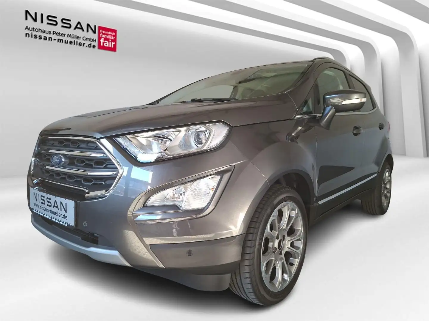 Ford EcoSport 1.0 EcoBoost Titanium Start/Stopp Grau - 1