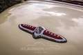 Buick Roadmaster Convertible Super Eight Gelb - thumbnail 39